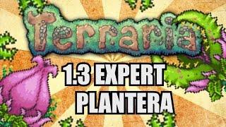 PLANTERA EASY KILL GUIDE! Terraria 1.3 Expert SOLO