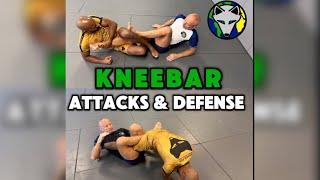 Knee Bar Entries and Defense  S:6-Ep:43 #rollwiththefox