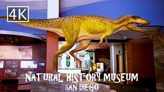 [4K] San Diego Natural History Museum