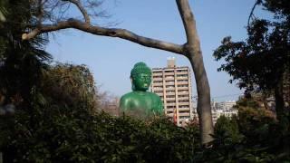 桃巌寺秘仏ご開帳