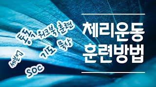 NCMN 체리운동의 훈련들