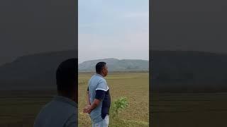Lost in the beauty of the wilderness# Ranchi#beautiful #calm #scenicviews #mountainview #nature