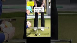 숏퍼팅 이렇게 간단합니다. 퍼팅실력 급상승  무료 원포인트 레슨 -구독 후 댓글로 신청하세요. #나이스아이 #코어펏 #최종환퍼팅아카데미 #골프레슨 #숏퍼팅레슨 #더레이디어스