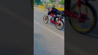 Sunny bacha 46 king 