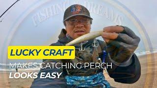 I Tried Lucky Craft LURE For Low Tide Fishing And Caught Perch EASY