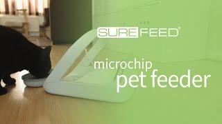 SureFeed Microchip Pet Feeder - Training for Timid Cats