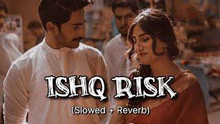 Ishq Risk - Rahat Fateh Ali Khan | Slowed + Reverb | Bollywood songs |  Stereo Buddy