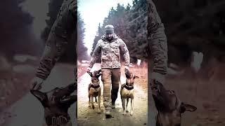 #tacticalshooter #dog #dogs #k9 #foryou #usa #tacticalk9 #shortsvideo #shortvideo #belgianmalinois