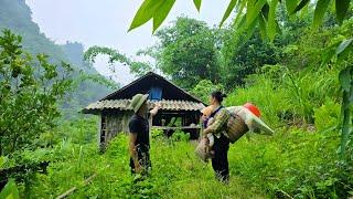 What will happen to the single mother when a young man takes her to a house in the deserted forest?