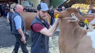 Stallbesuch beim abtretenden Präsidenten Daniel Seematter