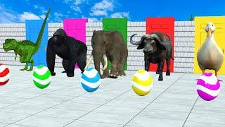 Long Slide Game With Lion Elephant  Cow Gorilla Zebra T-rax  Tiger 3d Animal Game Funny 3d Animals