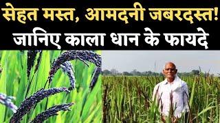 Black Rice Farming: काले धान की खेती कर रहे Jharkhand के किसान, Health Benefits के साथ अच्छी Income