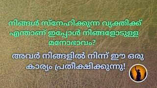 ️ അവർ നിങ്ങളിൽ നിന്ന് ഈ ഒരു കാര്യം പ്രതീക്ഷിക്കുന്നു!