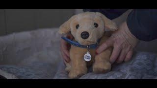 RSPCA release tear-jerking Christmas advert