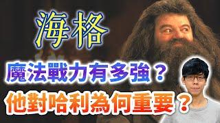 海格的魔法戰力很弱嗎？為何霍格華茲大戰不見他有亮眼表現？他又有何重要性？【哈利波特透視鏡】#19|奇幻圖書館