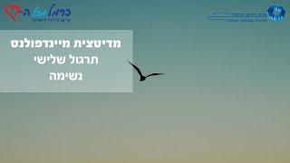 מיינדפולנס: תרגול 3 - נשימה