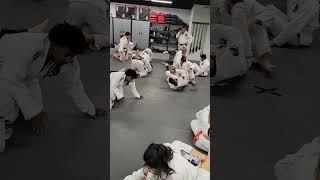 Royce Gracie Seminar 2023