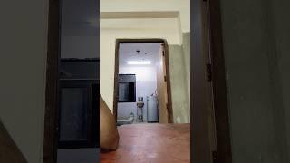 sham bhi khubh hai pas mehboob hai!#shortsfeed #youtubeshorts #shorts #technicaldilip
