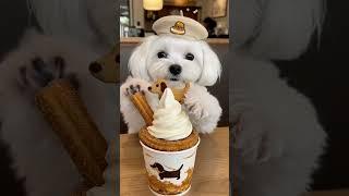 Rose the Maltese Makes Magical Churros in Ice Wonderland!" #cutedogs #dogsofinstagram #dogshorts