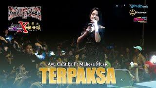 TERPAKSA - VOC. AYU CANTIKA || ANNIVERSARY 1ST PLATGAYENG X MAHESA MUSIC