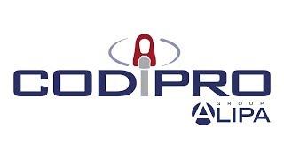 CODIPRO -  The specialist in swivel lifting rings