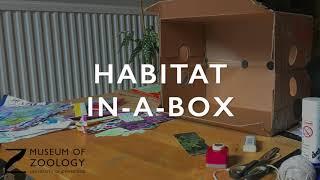 Crafty Creatures: Habitat in-a-box