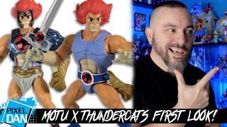 FIRST LOOK at CRAZY Crossover Action Figures! (Did it Disappoint?)