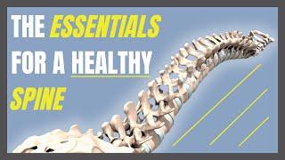 Spinal Hygiene | How To Keep A Healthy Spine