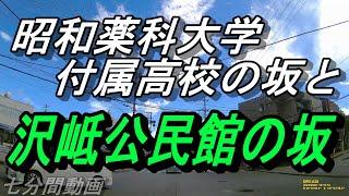 【沖縄の坂道】薬大学付属の坂と沢岻公民館の坂～最後は私を誘惑する関ヶ原石材の坂～