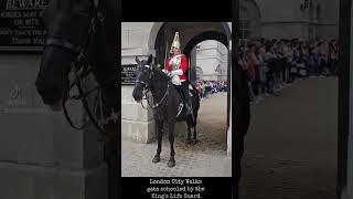 London City Walks gets schooled by the King's Life Guard (had to happen!) 07.08.2023.