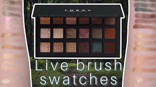 LORAC Fairytale Forest Palette | Live Finger & Brush Swatches