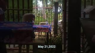 MARANAO WASYAT part 1 : Aleem abdul bashet salem