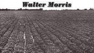 Walter Morris - Take Back Your Gold