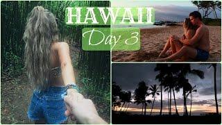 Bamboo Forest Adventure!! (Hawaii day 3)