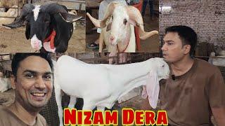 The King Style Collection Vilayti Mende Collection | Nizam Ka Dera Full Tour Vlog Bhiwandi.