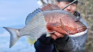 Fishing Minnows in Winter from Beach to Creek