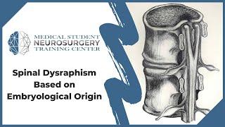 Spinal Dysraphism Based on Embryological Origin