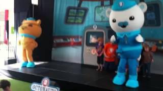 Octonauts