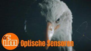 Optischer Miniatursensor O8: Kleine Bauform mit großer Reichweite [Technik im Alltag]