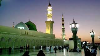 گناہوں کی عادت چھڑا میرے مولا Urdu Naat Shareef Islamic Naats