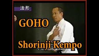 Hard method in Martial Arts. Goho Shorinji Kempo. Sensei Arai Tsunehiro. 少林寺拳法. 武道少林寺拳法の講義