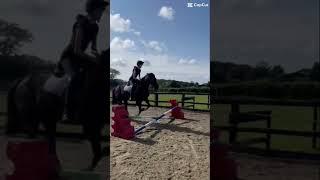 @Marthasponyadventures2 #marthaandmoto100 #flickeringmoonlight #lemieux