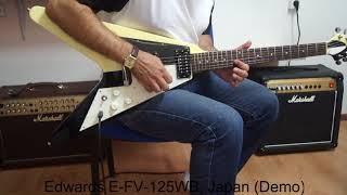 Edwards E-FV-125WB, Japan (Demo)