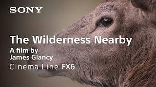 "The Wilderness Nearby" shot on Cinema Line FX6 | Sony | α