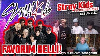 Stray Kids Ses Analizi (Favorim Belli)