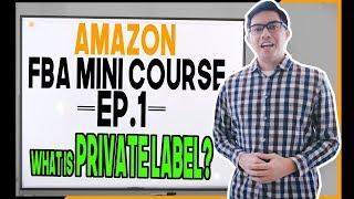 AMAZON FBA MINI COURSE | Ep.1 WHAT IS PRIVATE LABEL? (Step-by-Step)