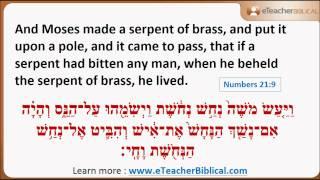 What is Nehushtan? | Biblical Hebrew Q&A with eTeacherBiblical