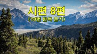 시편8편