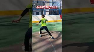 ФИНТ ЗИДАНА
