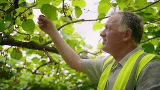 Plant & Food Research staff profile: Stephen Hoyte